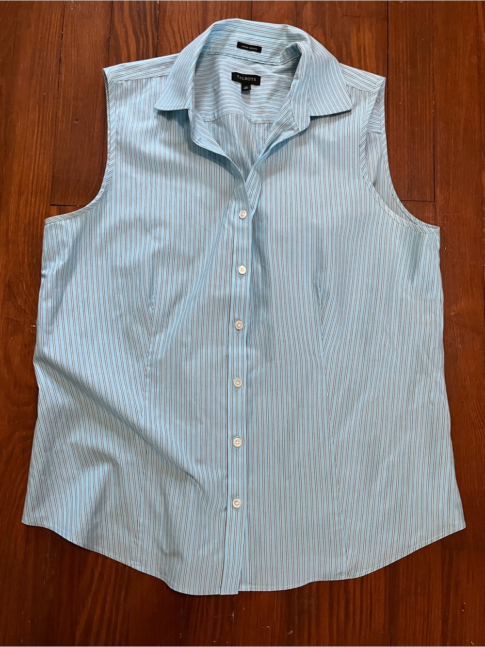 Talbots Light Blue Striped Sleeveless Button-Down Shirt